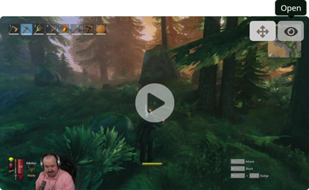 The stream preview widget The stream preview widget